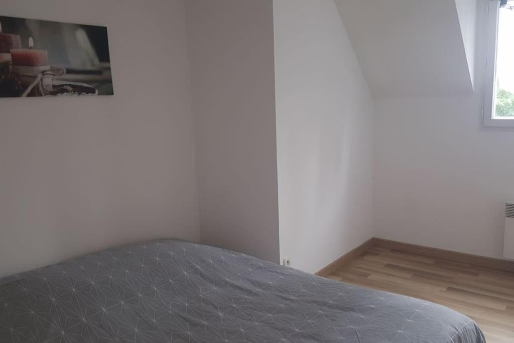 Logement Plein Centre De Plerin A Proximite Des Plages Et Des Commerces Екстер'єр фото